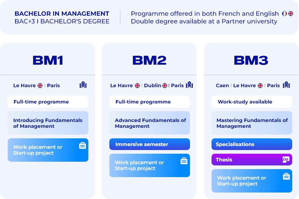 Bachelor in Management in a nutshell